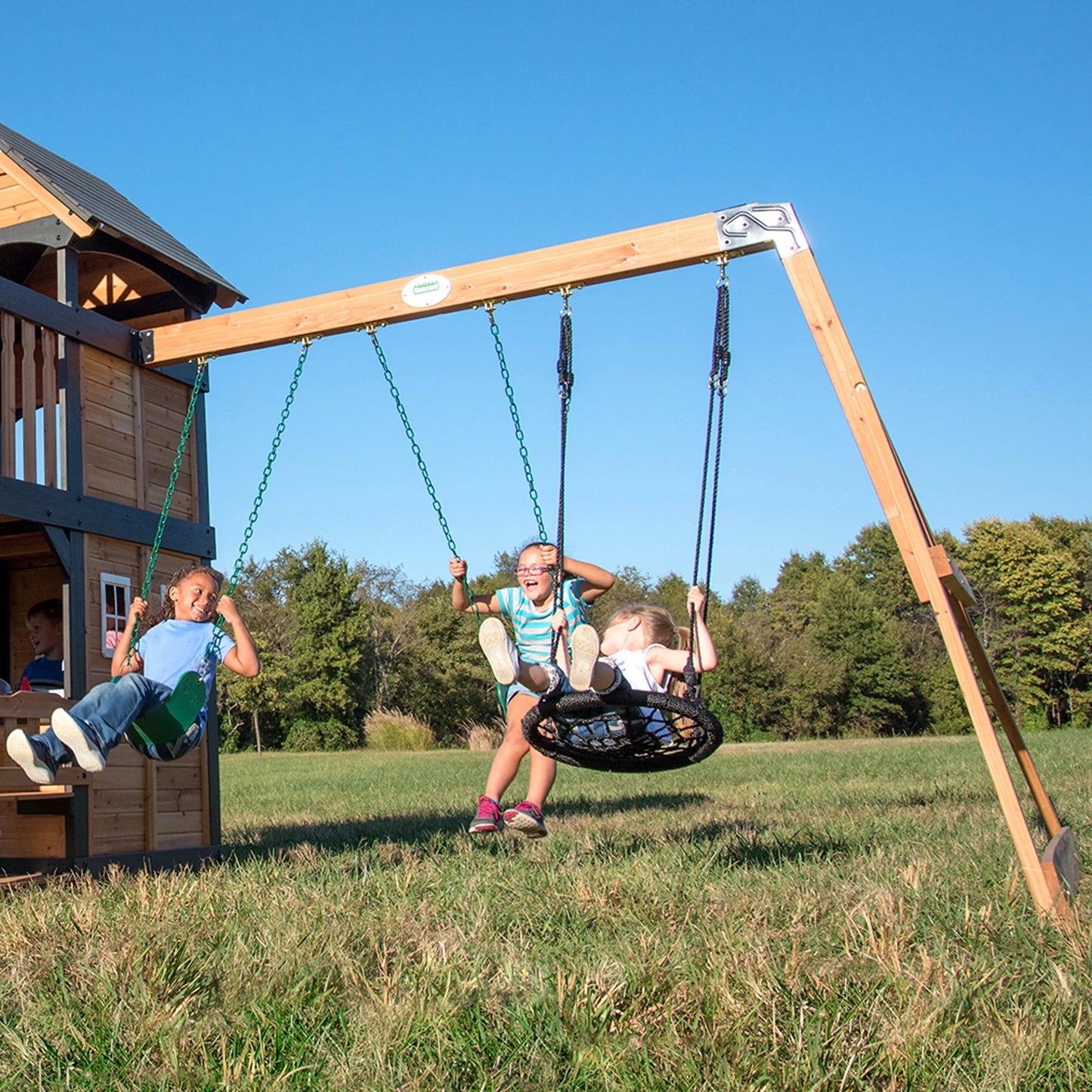 Backyard Discovery Canyon Creek Swing Set